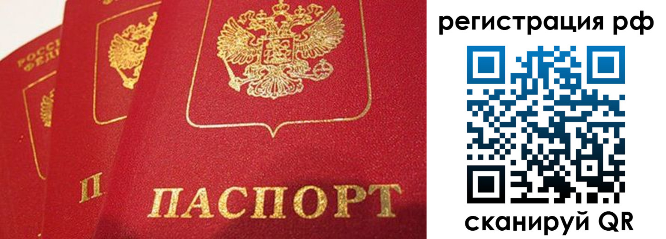 прописка поиск в Кудрово